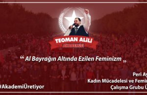 Peri Ayhan yazdı: ❝Al Bayrağın Altında Ezilen Feminizm❞