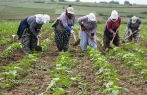 En Ağır Bedeli Kim Ödüyor?