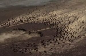 Emperyalizmin “Turan” Taktiği