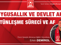 DUYGUSALLIK VE DEVLET AKLI: BÜTÜNLEŞME SÜRECİ VE AF