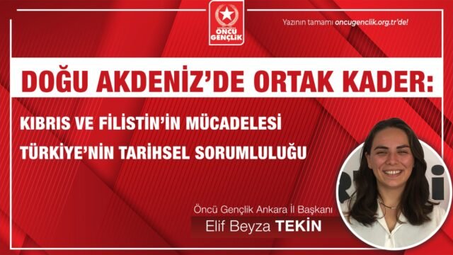 WhatsApp Image 2025-10-06 at 16.38.10